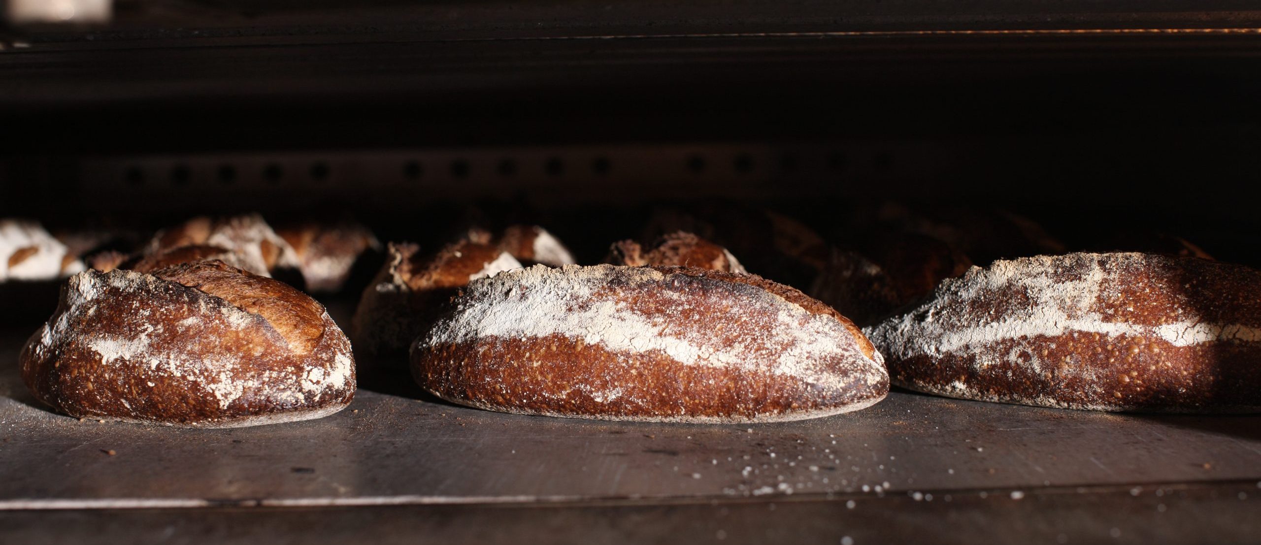 bread loaves